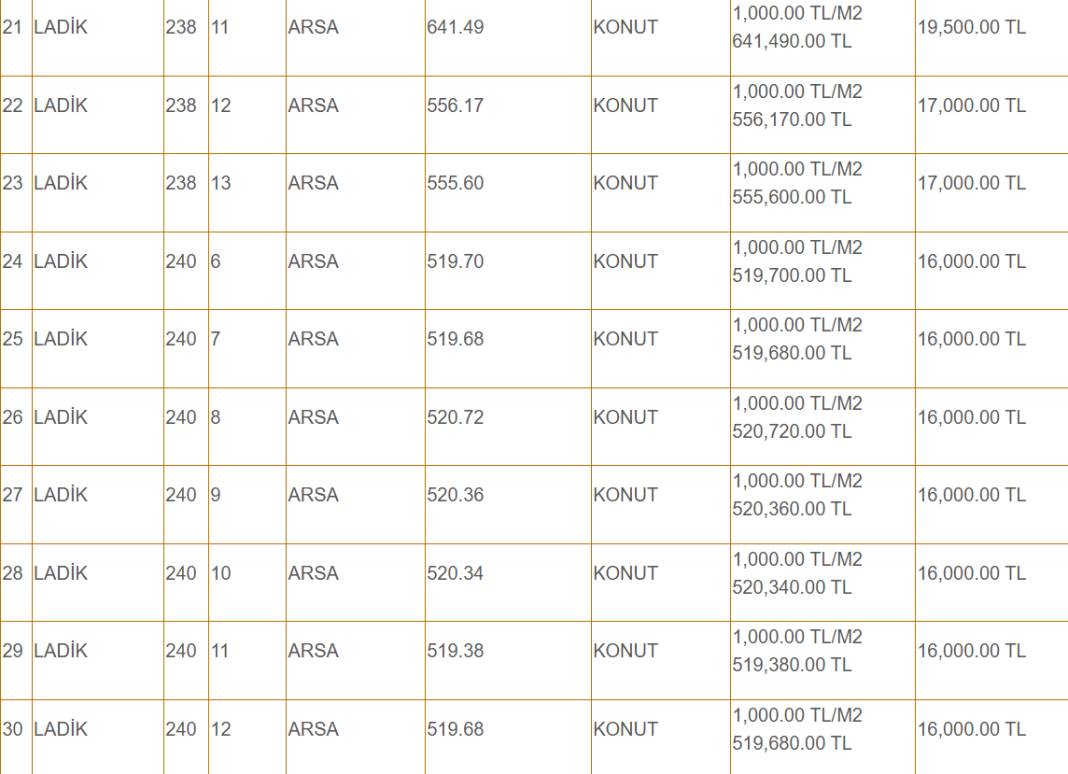 Konya'da 500 bin TL ödeyene müstakil ev! İşte o satışın avantajları 11